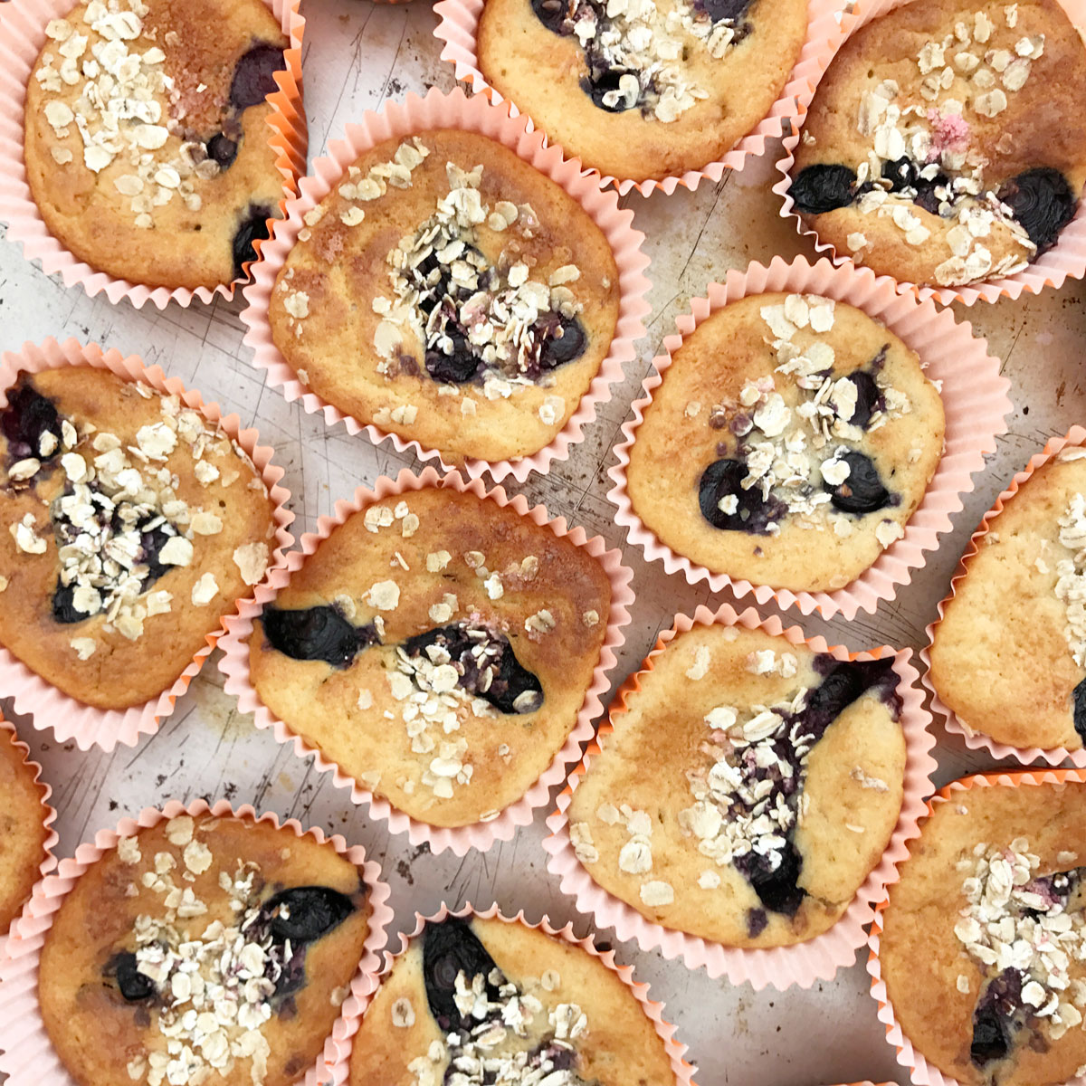 gezonde muffins met blauwe bessen