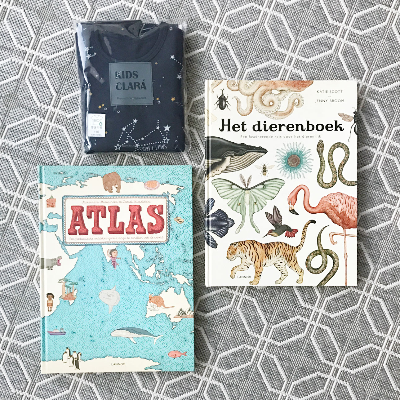 pluk and paloma bestelling prentenboeken pyjama