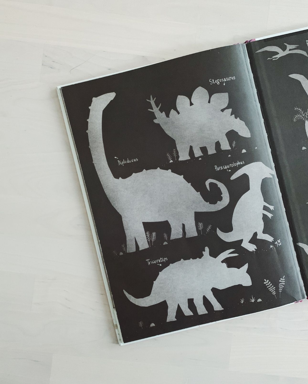 Kinderboek Het ongeloofelijke maar waargebeurde verhaal over de dino's (2)