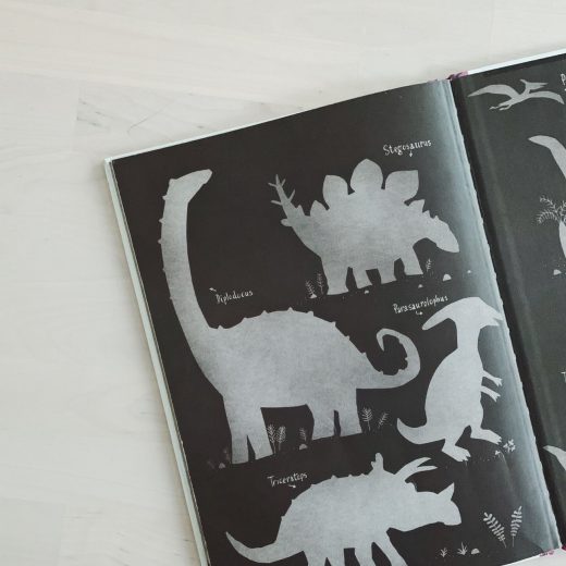 kinderboek het ongeloofelijke maar waargebeurde verhaal over de dino's (3)