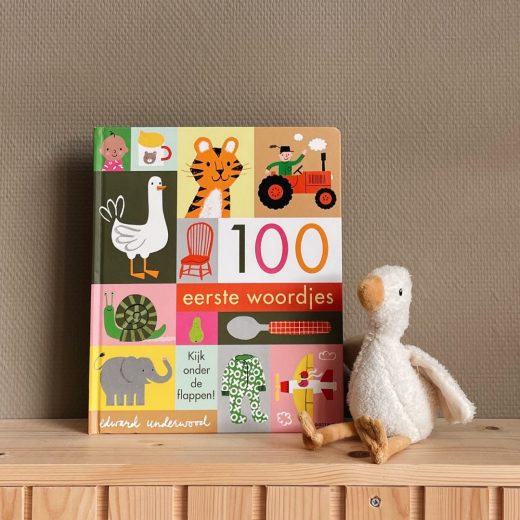 Kinderboek kartonboek 100 eerste woordjes Edward Underwood