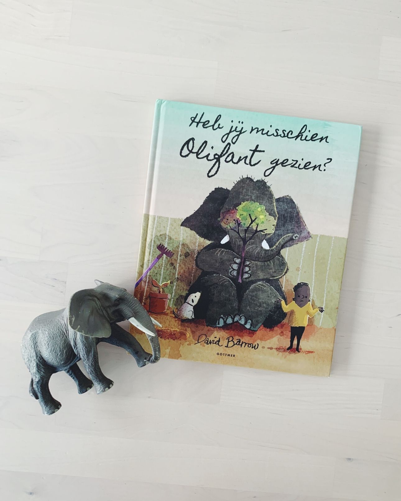 Kinderboek heb jij misschien olifant gezien